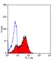 Anti Mouse CD26 Antibody, clone H207-1082 thumbnail image 2