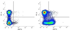 Anti Mouse CD28 Antibody, clone E18 gallery image 1