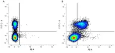 Anti Mouse CD28 Antibody, clone E18 gallery image 2