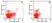 Anti Mouse CD283 Antibody, clone 11F8 thumbnail image 1