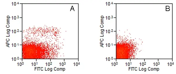 Anti Mouse CD283 Antibody, clone 11F8 gallery image 2