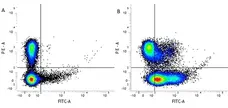 Anti Mouse CD29 Antibody, clone HM beta 1-1 gallery image 1