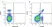 Anti Mouse CD3 Antibody, clone KT3 thumbnail image 1