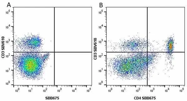 Anti Mouse CD3 Antibody, clone KT3 gallery image 101