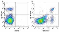 Anti Mouse CD3 Antibody, clone KT3 gallery image 102