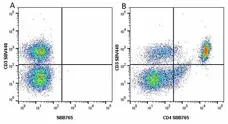 Anti Mouse CD3 Antibody, clone KT3 gallery image 103