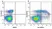 Anti Mouse CD3 Antibody, clone KT3 thumbnail image 108