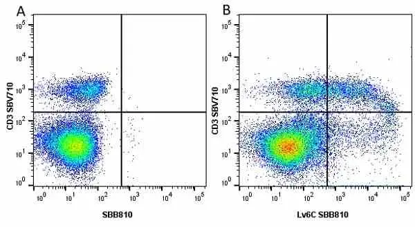 Anti Mouse CD3 Antibody, clone KT3 gallery image 108