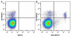 Anti Mouse CD3 Antibody, clone KT3 gallery image 112
