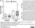 Anti Mouse CD3 Antibody, clone KT3 thumbnail image 126