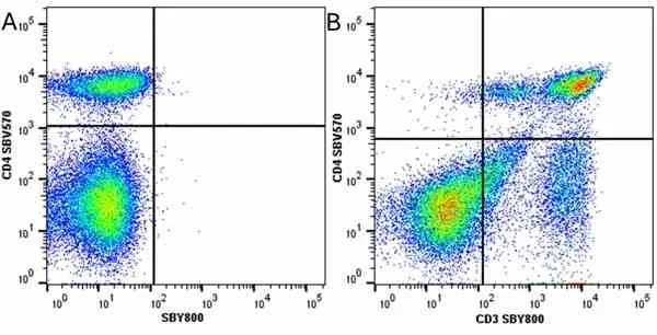 Anti Mouse CD3 Antibody, clone KT3 gallery image 128