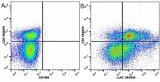 Anti Mouse CD3 Antibody, clone KT3 gallery image 129