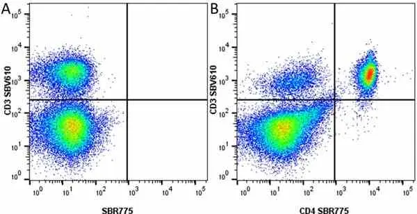 Anti Mouse CD3 Antibody, clone KT3 gallery image 134