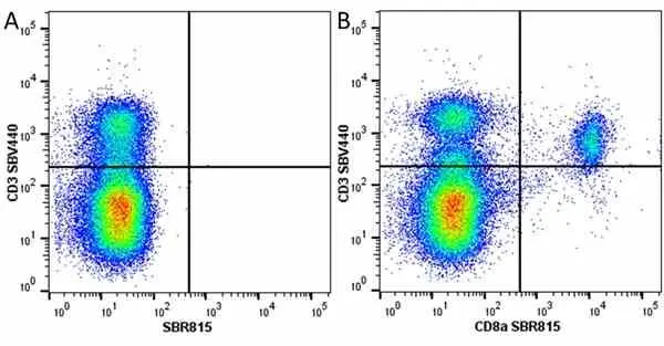 Anti Mouse CD3 Antibody, clone KT3 gallery image 136