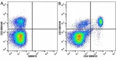 Anti Mouse CD3 Antibody, clone KT3 gallery image 137