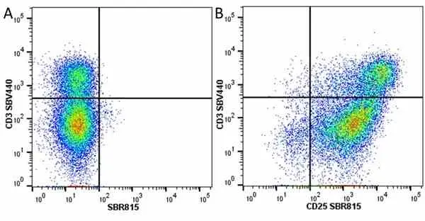 Anti Mouse CD3 Antibody, clone KT3 gallery image 138