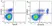 Anti Mouse CD3 Antibody, clone KT3 thumbnail image 141