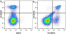 Anti Mouse CD3 Antibody, clone KT3 gallery image 148
