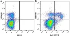 Anti Mouse CD3 Antibody, clone KT3 gallery image 18