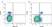 Anti Mouse CD3 Antibody, clone KT3 thumbnail image 2
