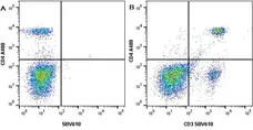 Anti Mouse CD3 Antibody, clone KT3 gallery image 22
