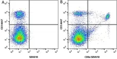Anti Mouse CD3 Antibody, clone KT3 gallery image 23
