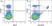 Anti Mouse CD3 Antibody, clone KT3 thumbnail image 23