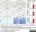Anti Mouse CD3 Antibody, clone KT3 thumbnail image 25
