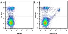 Anti Mouse CD3 Antibody, clone KT3 gallery image 27