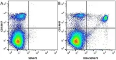 Anti Mouse CD3 Antibody, clone KT3 gallery image 29