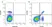 Anti Mouse CD3 Antibody, clone KT3 thumbnail image 3