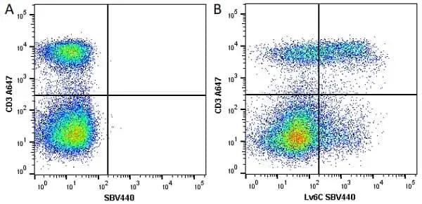 Anti Mouse CD3 Antibody, clone KT3 gallery image 36