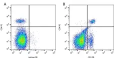 Anti Mouse CD3 Antibody, clone KT3 gallery image 4