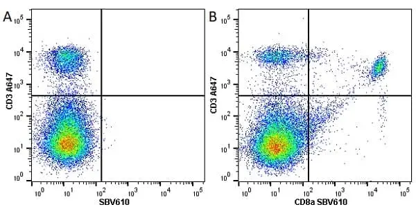 Anti Mouse CD3 Antibody, clone KT3 gallery image 42