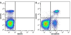 Anti Mouse CD3 Antibody, clone KT3 gallery image 46