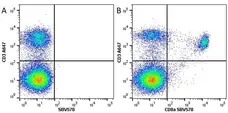 Anti Mouse CD3 Antibody, clone KT3 gallery image 47