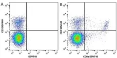 Anti Mouse CD3 Antibody, clone KT3 gallery image 50