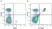 Anti Mouse CD3 Antibody, clone KT3 thumbnail image 58