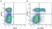 Anti Mouse CD3 Antibody, clone KT3 thumbnail image 59