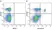 Anti Mouse CD3 Antibody, clone KT3 thumbnail image 60