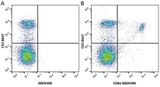 Anti Mouse CD3 Antibody, clone KT3 gallery image 61