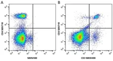 Anti Mouse CD3 Antibody, clone KT3 gallery image 63