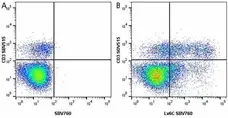 Anti Mouse CD3 Antibody, clone KT3 gallery image 65