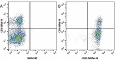 Anti Mouse CD3 Antibody, clone KT3 gallery image 76
