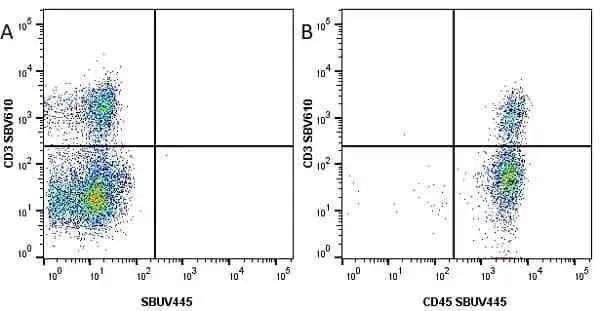 Anti Mouse CD3 Antibody, clone KT3 gallery image 76