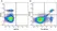 Anti Mouse CD3 Antibody, clone KT3 thumbnail image 80