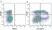 Anti Mouse CD3 Antibody, clone KT3 thumbnail image 85