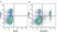 Anti Mouse CD3 Antibody, clone KT3 thumbnail image 87