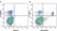Anti Mouse CD3 Antibody, clone KT3 thumbnail image 90