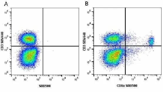 Anti Mouse CD3 Antibody, clone KT3 gallery image 91